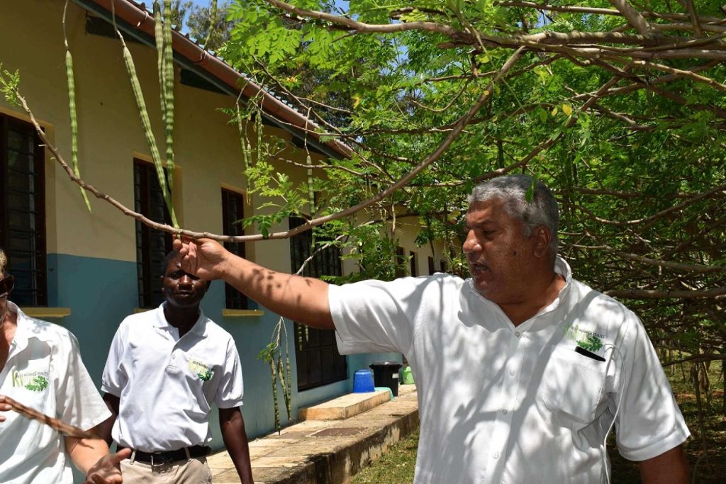 KCV-Commercial-Forestry